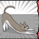 しゃらちゃんの心境の変化