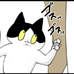 猫の可愛さをダメにする人間