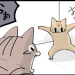 責任感強めの長男