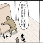 捨てる予定の物の方が人気になる件