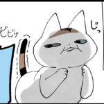 それでも猫と一緒に寝たい