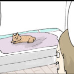 可愛さに負け続けてる話　中編