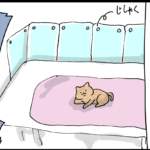 そして全てを諦めた