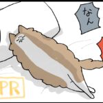 【PR】ドーム型ベットだよ！