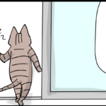 最年長猫ができない事