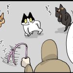 巻き込まれ事故