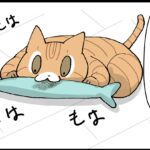 ぬいぐるみのその後