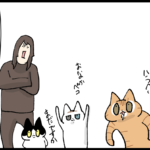 顔よりも感情が出過ぎる物