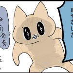 かりょうの災難な日々③