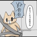 かりょうの災難な日々④