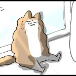 そろそろ換毛期の季節なので　前編