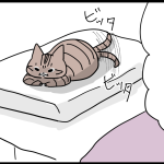 広がる猫