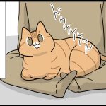 突然きて突然去る猫