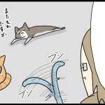 とりあえず一回興味ないふりする