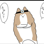 ドクターとナース