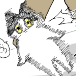 我が家の当たり屋