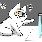 すぐこの世の終わりみたいな顔される