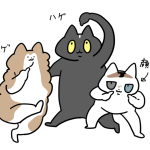 油断してるから簡単にバッグに入る奴