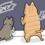 夜は窓に体当たりされがち