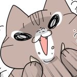 普段はそんなに感じない事
