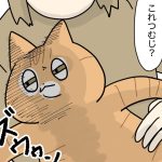 猫のお腹の毛をかき分ける日々