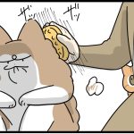 猫も二度見する