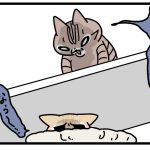 猫に踊らされている