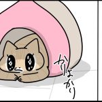 最新のかりょうちゃんの生態