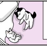 人間が猫の部屋に入れてもらってる