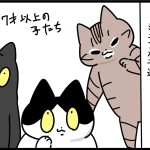 ご飯に迷う日々