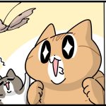 新おもちゃ入荷した