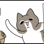 あまりにも節穴すぎる目