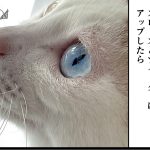 おしっこマシーンと愉快な仲間達