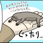 猫の残酷さを見た話　中編