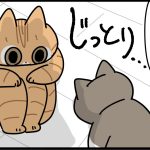 猫の残酷さを見た話　前編