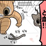 猫の残酷さを見た話　後編