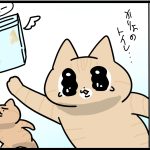 家の中でさすらう