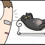 全てを理解している繊細な猫