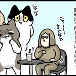 PR ペットカメラ　Furbo