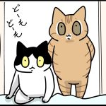 一回一回目が覚める