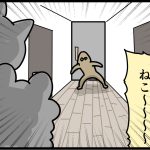 ただ猫と遊んで帰る叔母さん