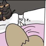 無料のおもちゃが人気