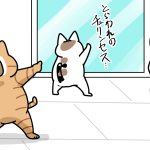 態度だけは一丁前