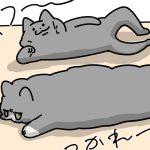 甥猫の様子を見に行った話　後編