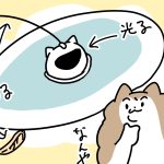 また新しいおもちゃ買ったってよ　前編