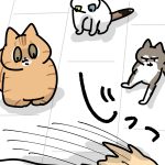 また新しいおもちゃ買ったってよ　後編