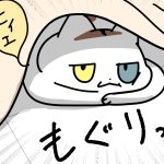 もふもふ系がない理由