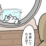 みんな可愛がられたいタイプ