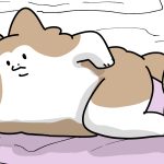 時々我に返って疑問に思う