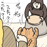 猫界隈で話題になってるこたつ